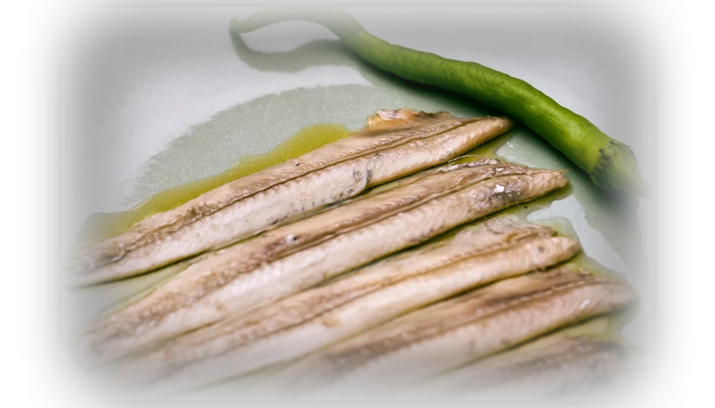 Boquerón del Cantábrico