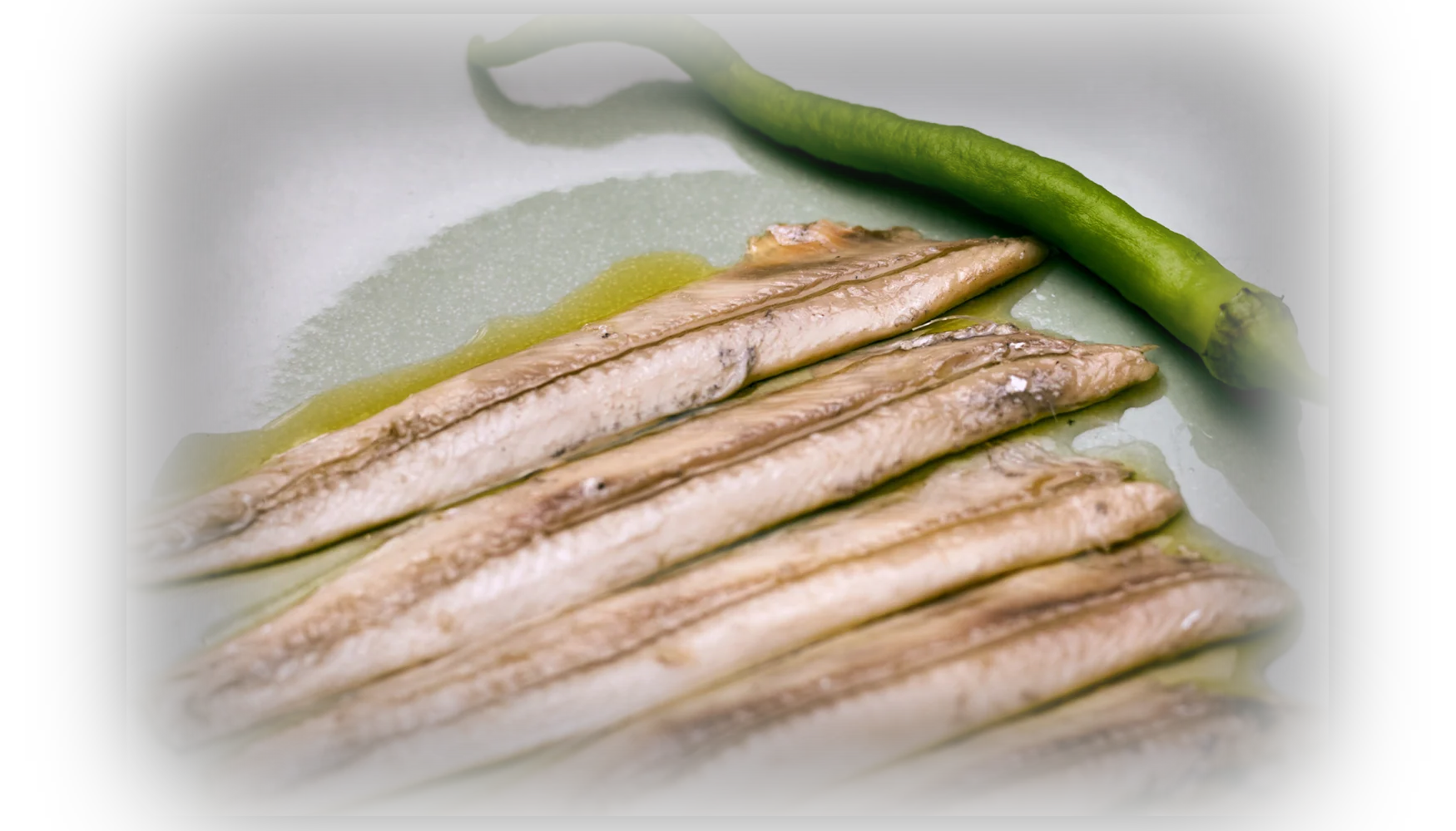 Boquerón del Cantábrico
