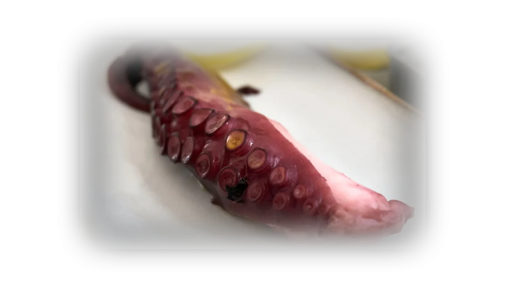 Pata de pulpo cocido