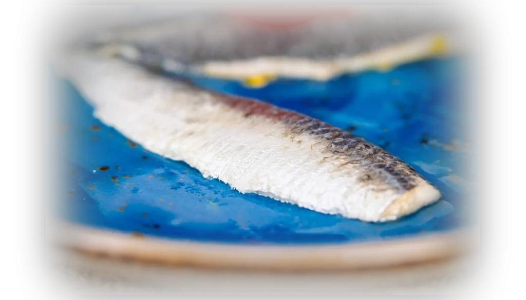 Sardina marinada
