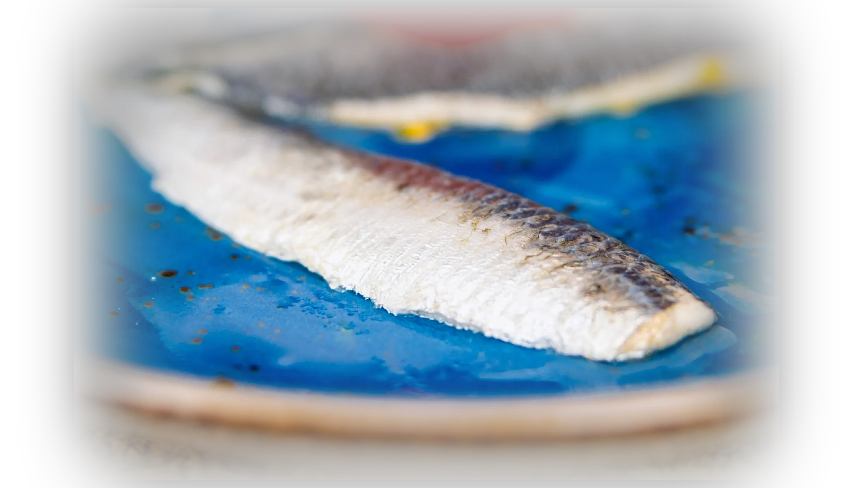 Sardina marinada