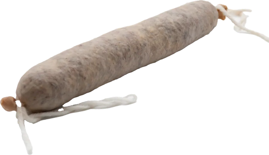 Bull blanc