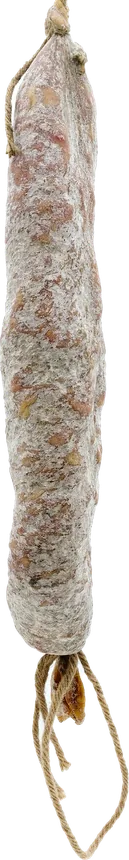 Llonganissa ampla