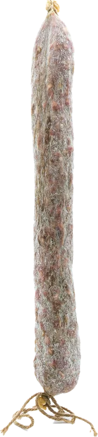 Llonganissa culana