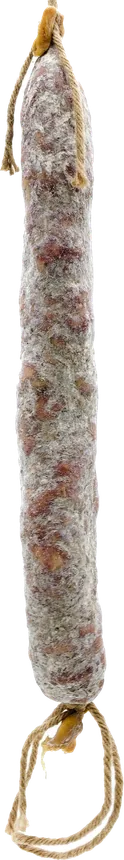 Llonganissa