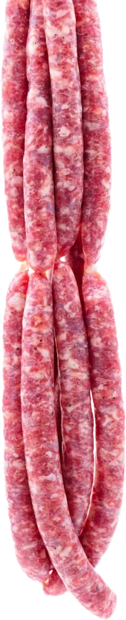 Salsitxa