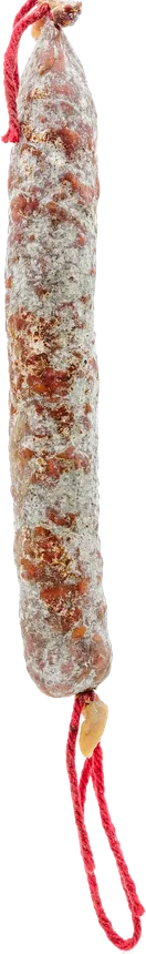 Xoriç