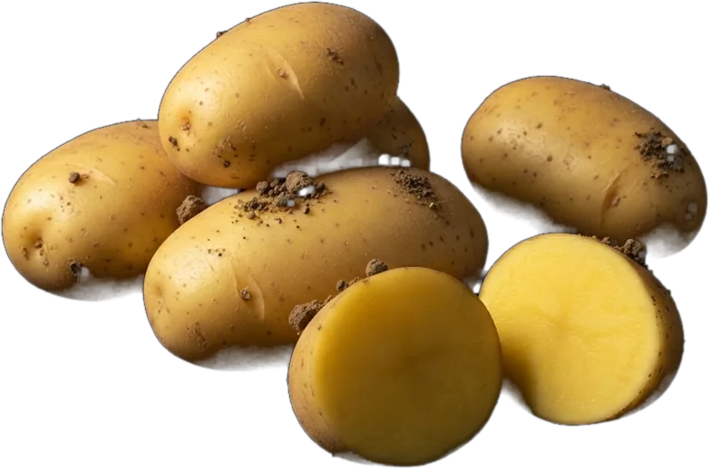 Patata gallega Agria